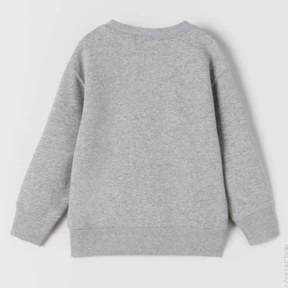 Zara Embroidered Sweatshirt - Picture 2 of 5